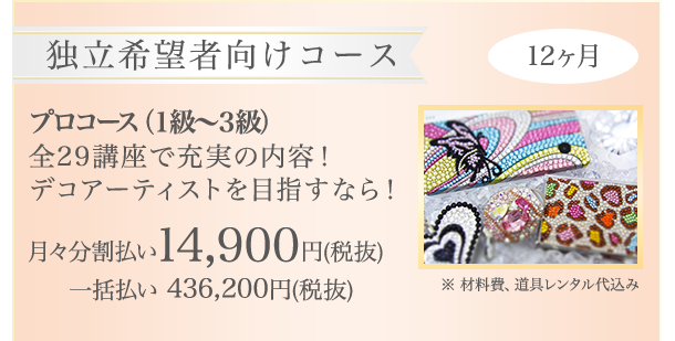 独立希望者向け プロコース（12日間）一括払い465000円(税別)